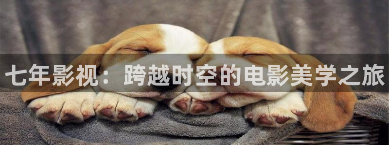 神马影院午夜在线观看视频：七年影视：跨越时空的电影美学之旅