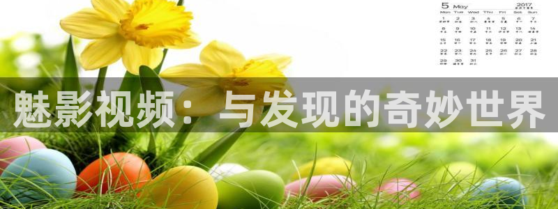神马影视理论在线观看：魅影视频：与发现的奇妙世界