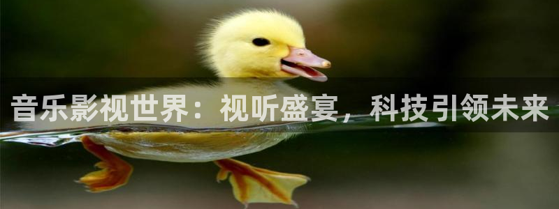 神马影院在线电影观看：音乐影视世界：视听盛宴，科技引领未来