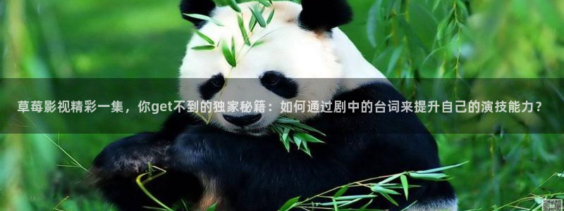 神马午夜在线视频：草莓影视精彩一集，你get不到的独家秘籍：如何通过剧中的台词来提升自己的演技能力？